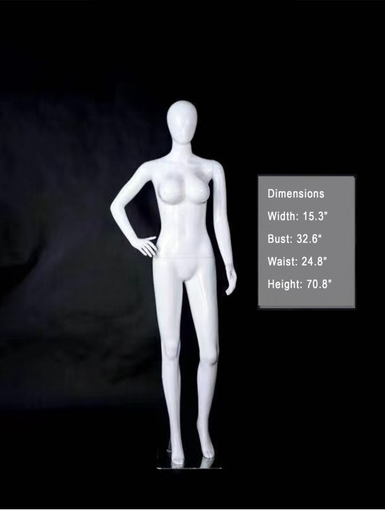 Full Size Mannequin Display